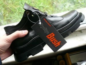 Image of a black shoe